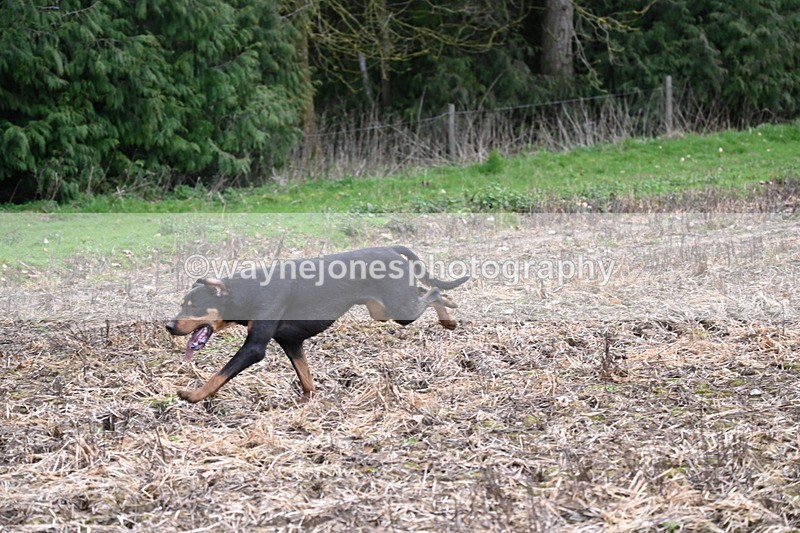 WJ6_9538 - Line Four