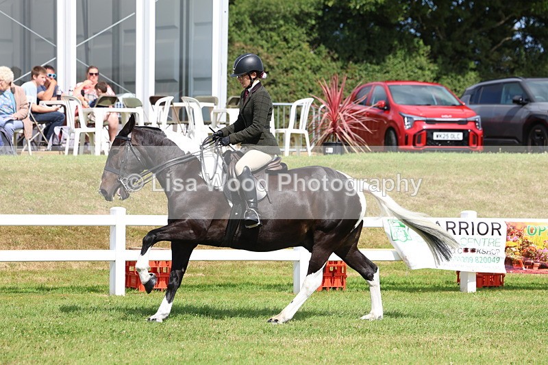 3E7A9754 - Class 5: Rising Star Lightweight/Heavyweight Cobs