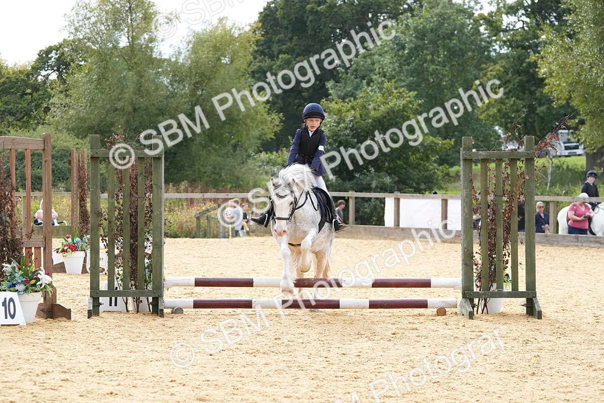 SBM_70575 - J3 - Mini Tour Junior Pony 40cm Championship