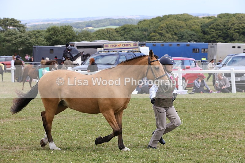 1X9A4917 - Class 35: Veteran In Hand