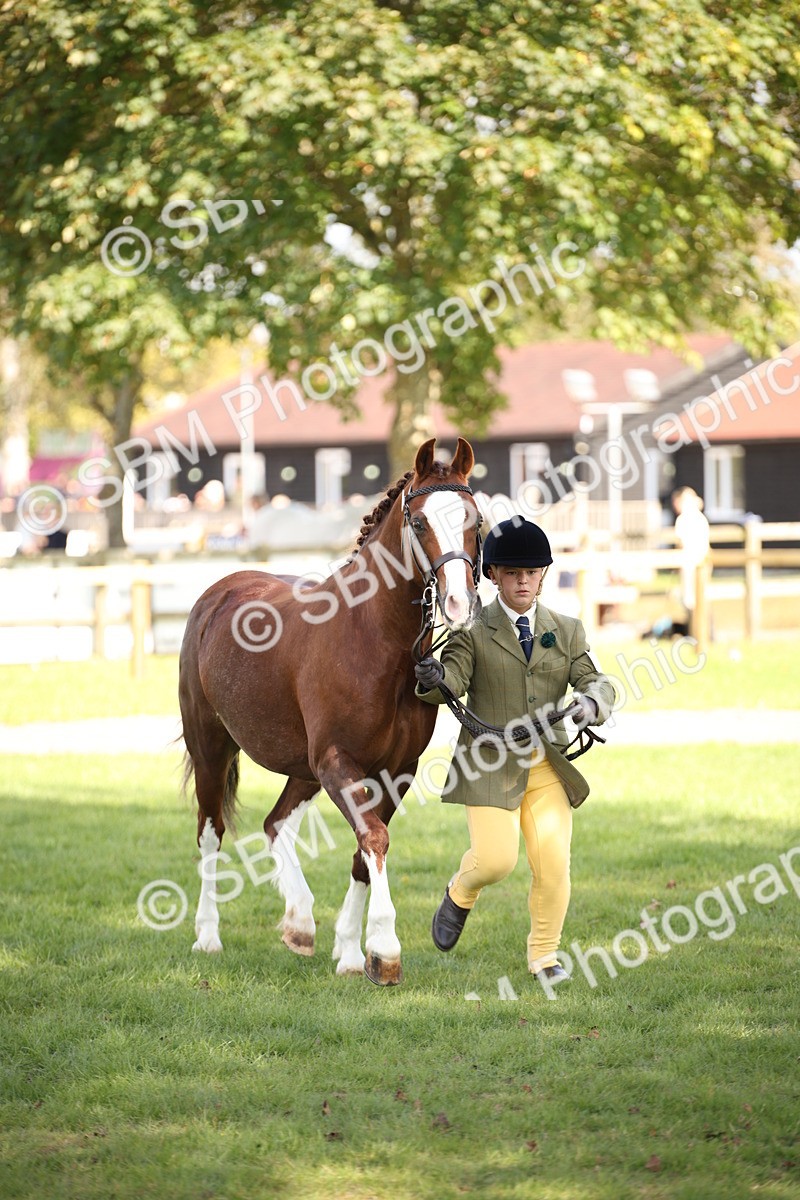 SBM_44442 - S24 - Young Veteran in hand
