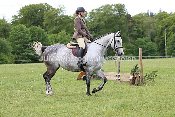 IMG_2820 - Working Hunter