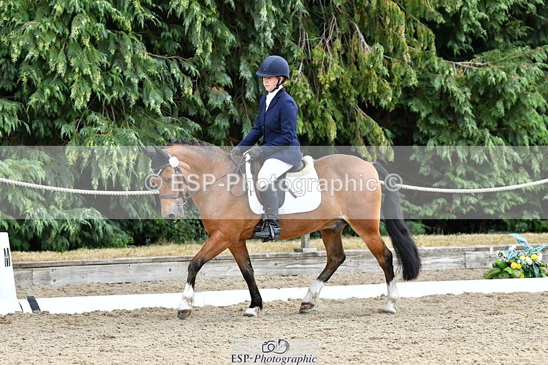 260801A-125919-04112 - Prelim Bronze Break - End