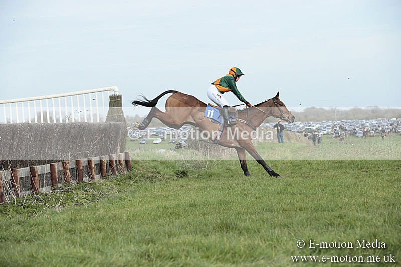 PtP 230319 369 - VWH Hunt Siddington Point-to-Point Racing 23/03/19