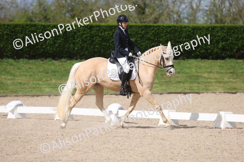 20260405-0309 - Class 4 - Novice 6