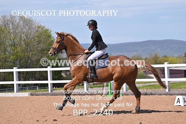BPP_2240 - CLASS 5 - FRI - Senior 1.05 Open