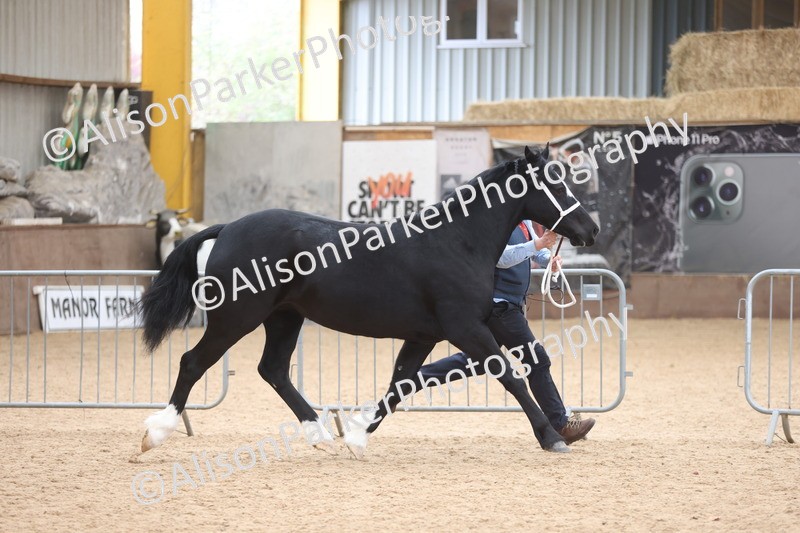 20251109-1144 - Championship