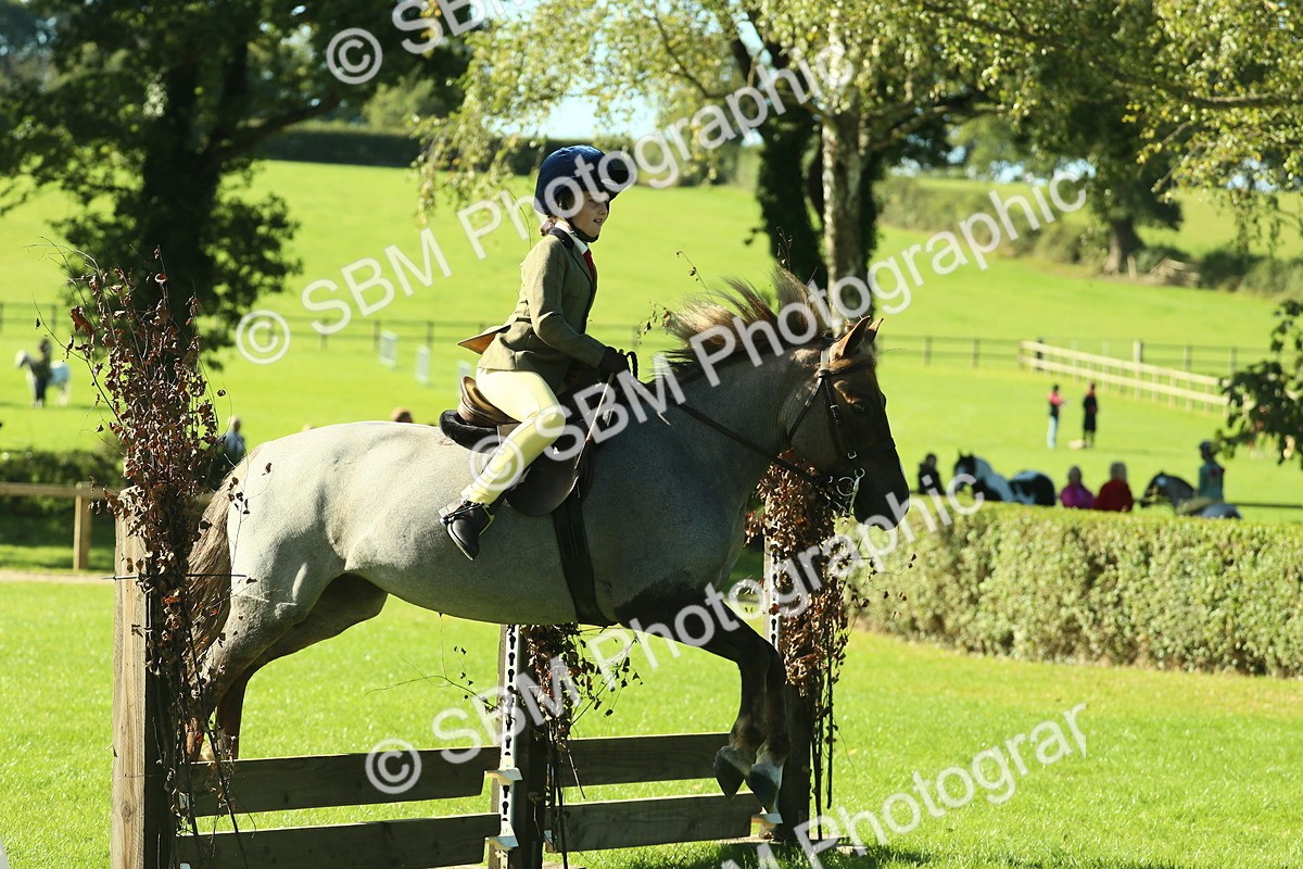SBM_36443 - S29 - Novice & Newcomers Working Hunter Pony