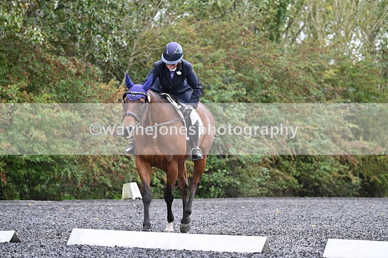 WJ7_6515 - Time 14:49 to 15:14