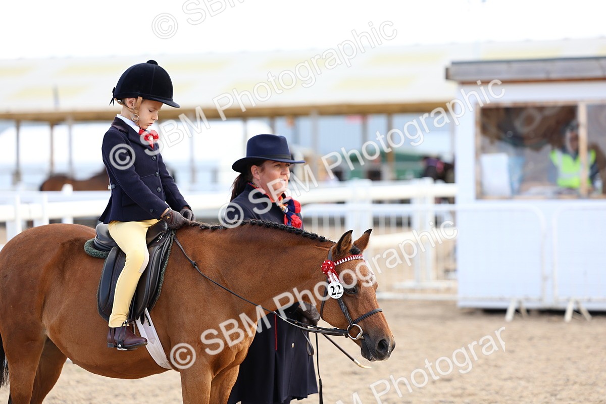 SBM_13102 - Class 309 - Lead Rein Pony