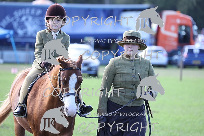 APP_3915 - Class 13 Lead rein