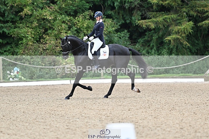 240810-102725-02671 - 235-Rebecca.Cowderoy-Nights.Dream