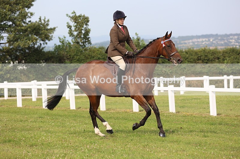JPP_4237 - Class 25: Working Show Horse