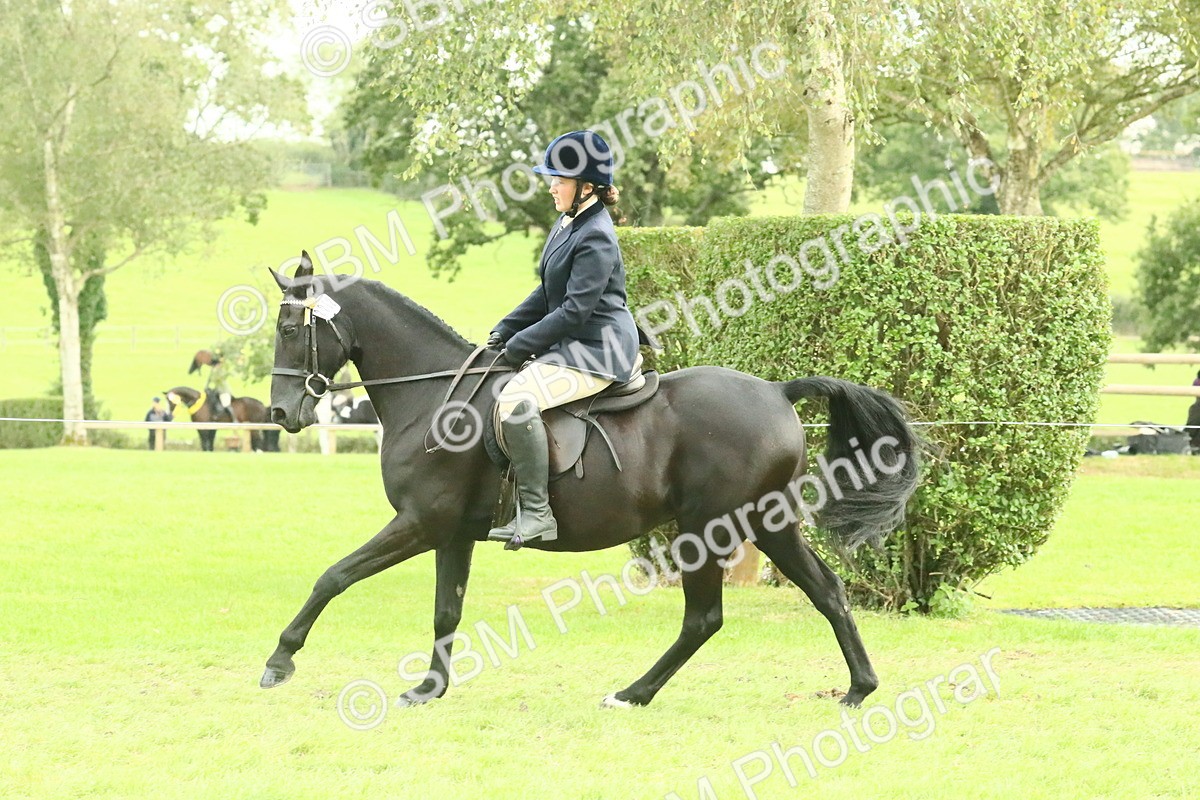 SBM_74108 - S 61 - Show Pony & Show Hunter Pony Ridden