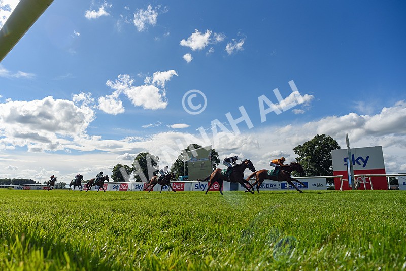 160624-Race 3-Mereside Diva-0882 - Race 3