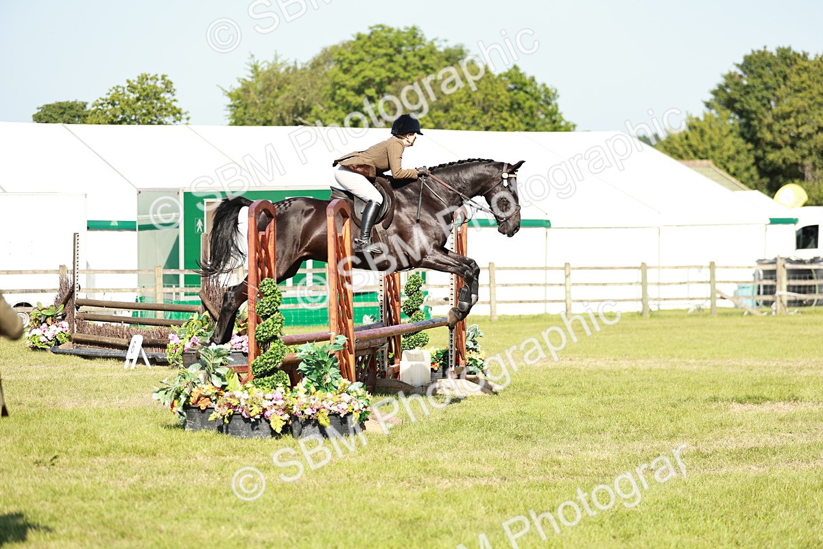 SBM_19156 - Class 115-116 - LIHS BSHA Rising Star Working Hunter & Show Horse