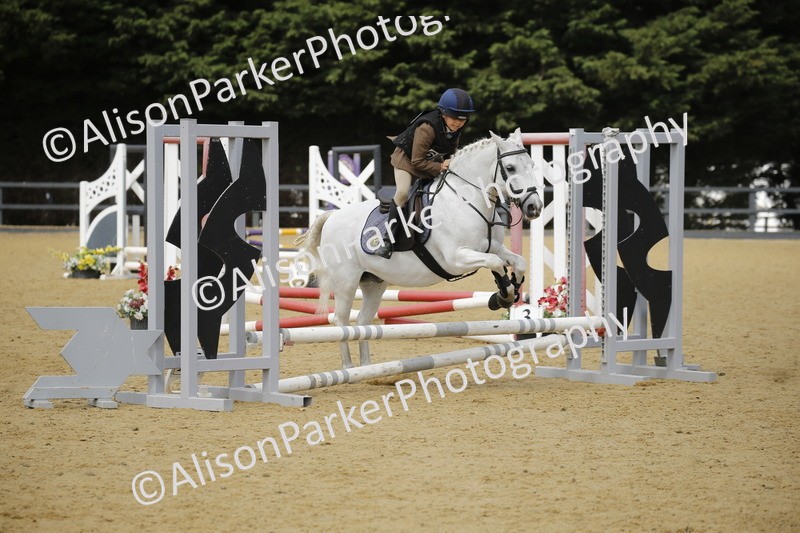 20250622-3688 - 50cm