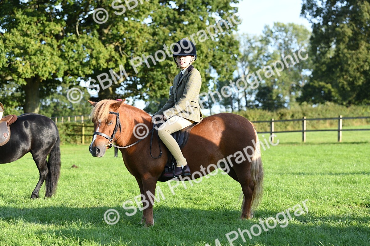 SBM_54121 - S23 - 1st Ridden Mountain & Moorland Pony