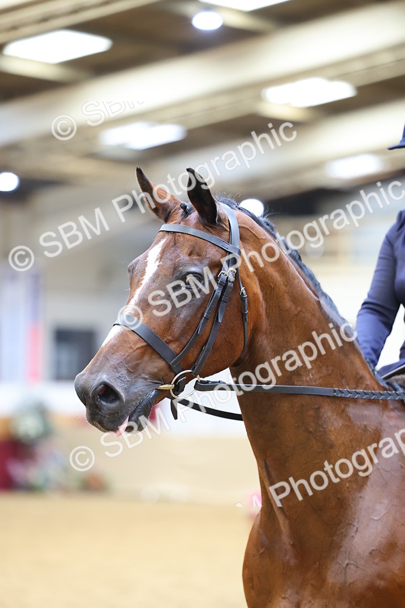 SBM_23600 - Class 904 - Supreme Final Ridden Diamond