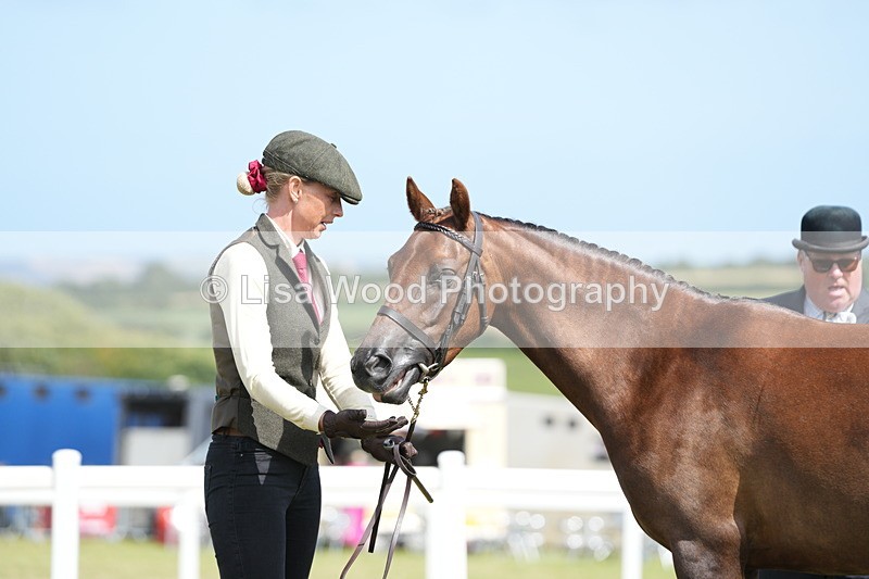 DSC07440 - Class 70: NPS SHP 4 years and over