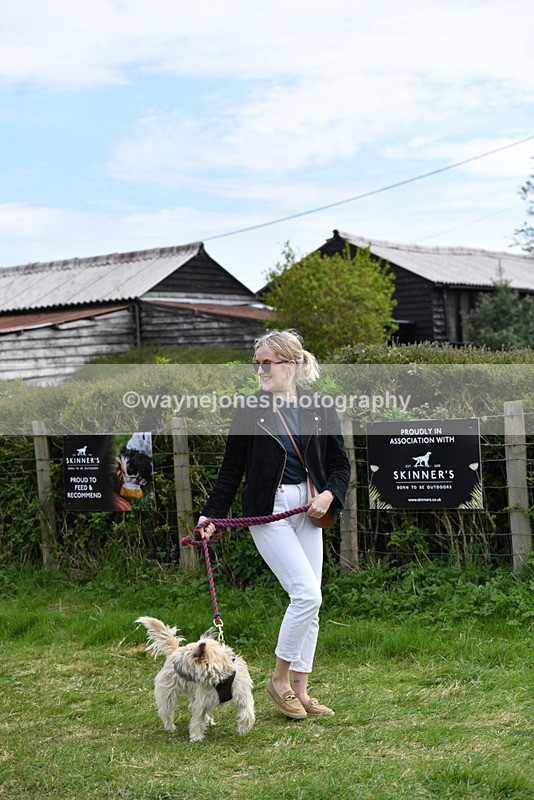 WJ5_0255 - Class 7 Best Terrier