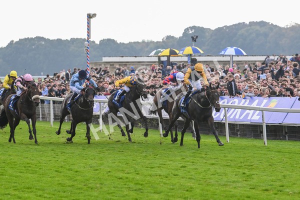 121024-Race 1-Jungle Drums-2539 - Race 1 1.30pm Coral Rockingham Stakes