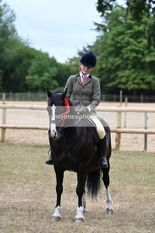 WJ7_0686 - Class 6 Ridden Mountain and Moorland
