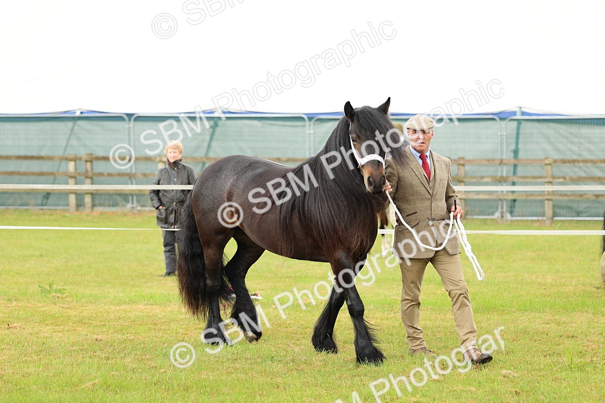 SBM_00497 - Class 58-67 - M&M Non Welsh Pony In hand