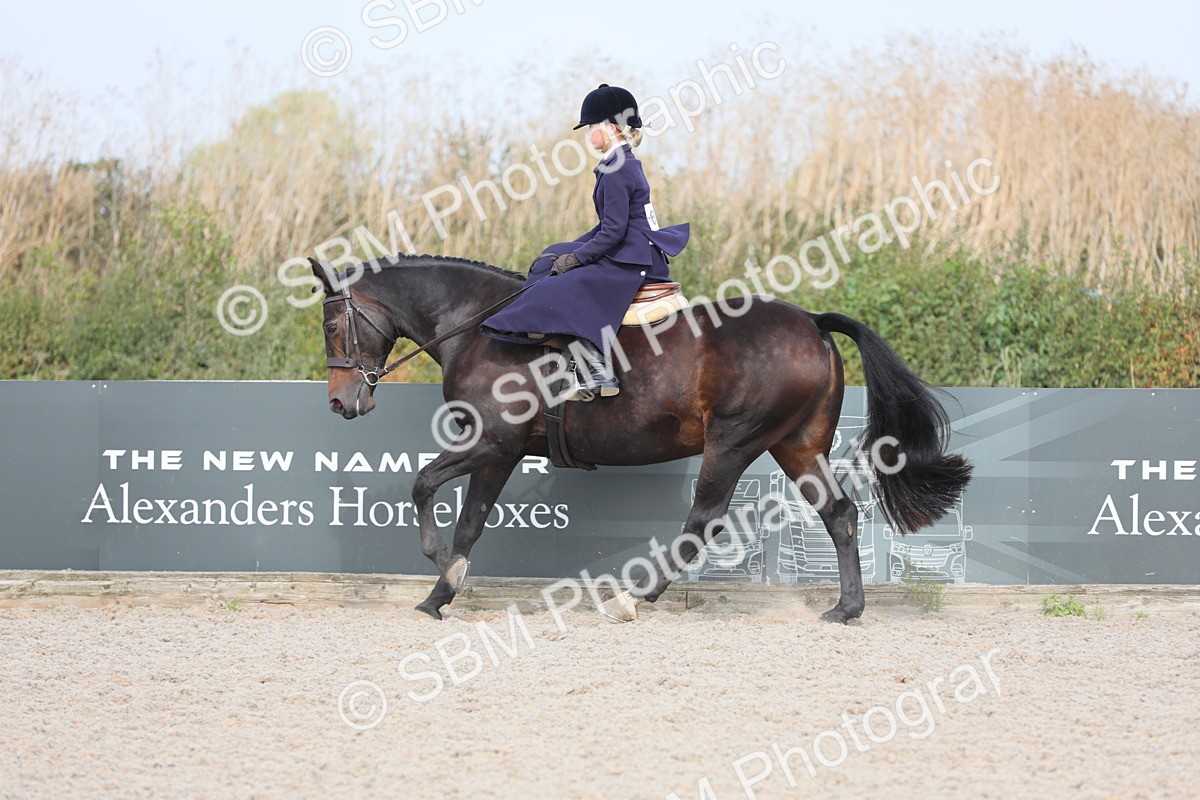 SBM_14556 - Class 211 Best Side Saddle Horse/Pony