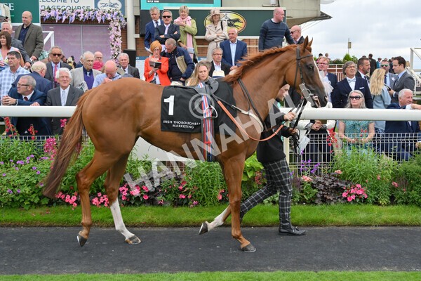 yr18082021r6-1 - Race 6 4.45pm IRE-Incentive It Pays To Buy Irish Stakes