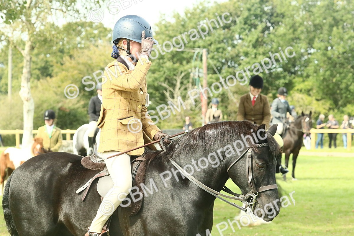 SBM_66728 - S34 - Rehabilitated Rescue Horse & Pony In Hand & Ridden