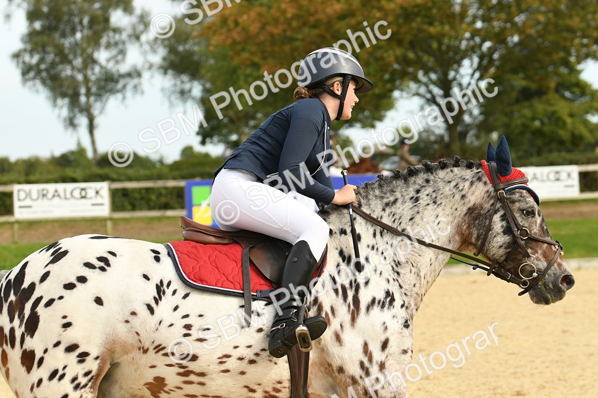 SBM_71101 - J15 - Junior Pony 70cm Championship