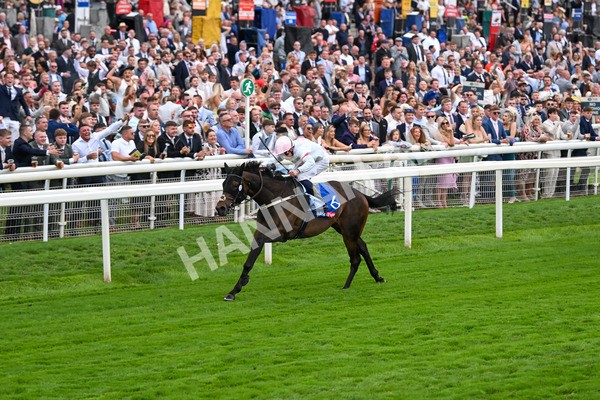 230825-Race 4-Ethical Diamond-0584 - Race 4 3.35pm Sky Bet Ebor Handicap