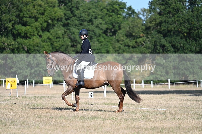 WJ7_8732 - Time 09:00 to 09:24