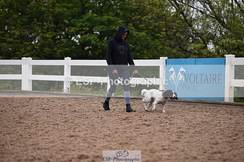 240518A-124738-01197 - Cls 5 Best Purebred