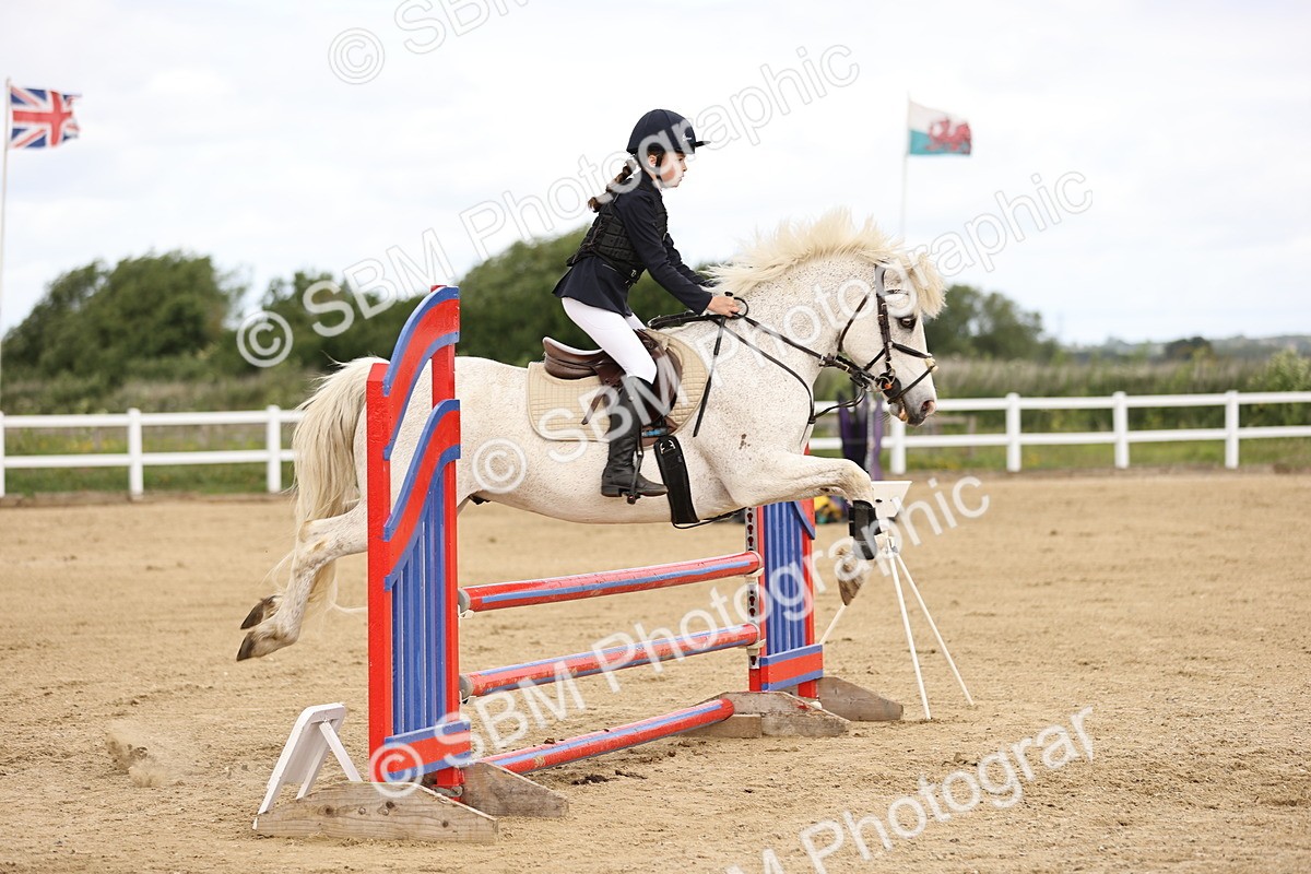 SBM_007157 - Class 2 - 80cm showjumping
