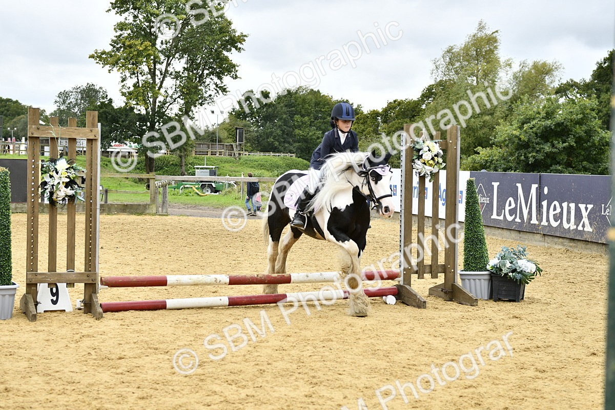 SBM_67952 - J2b - Mini Tour Junior Pony 30cm championship