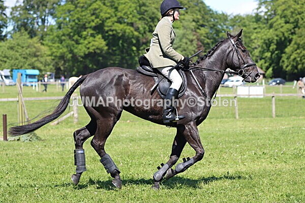 IMG_4141 - Working Hunter