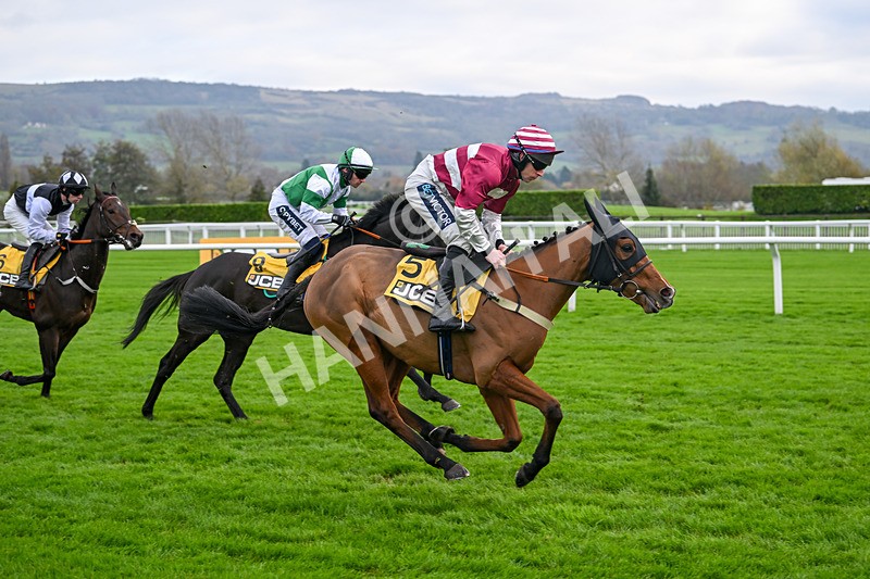 161124-Race 1-Moutarde-9215 - Race 1