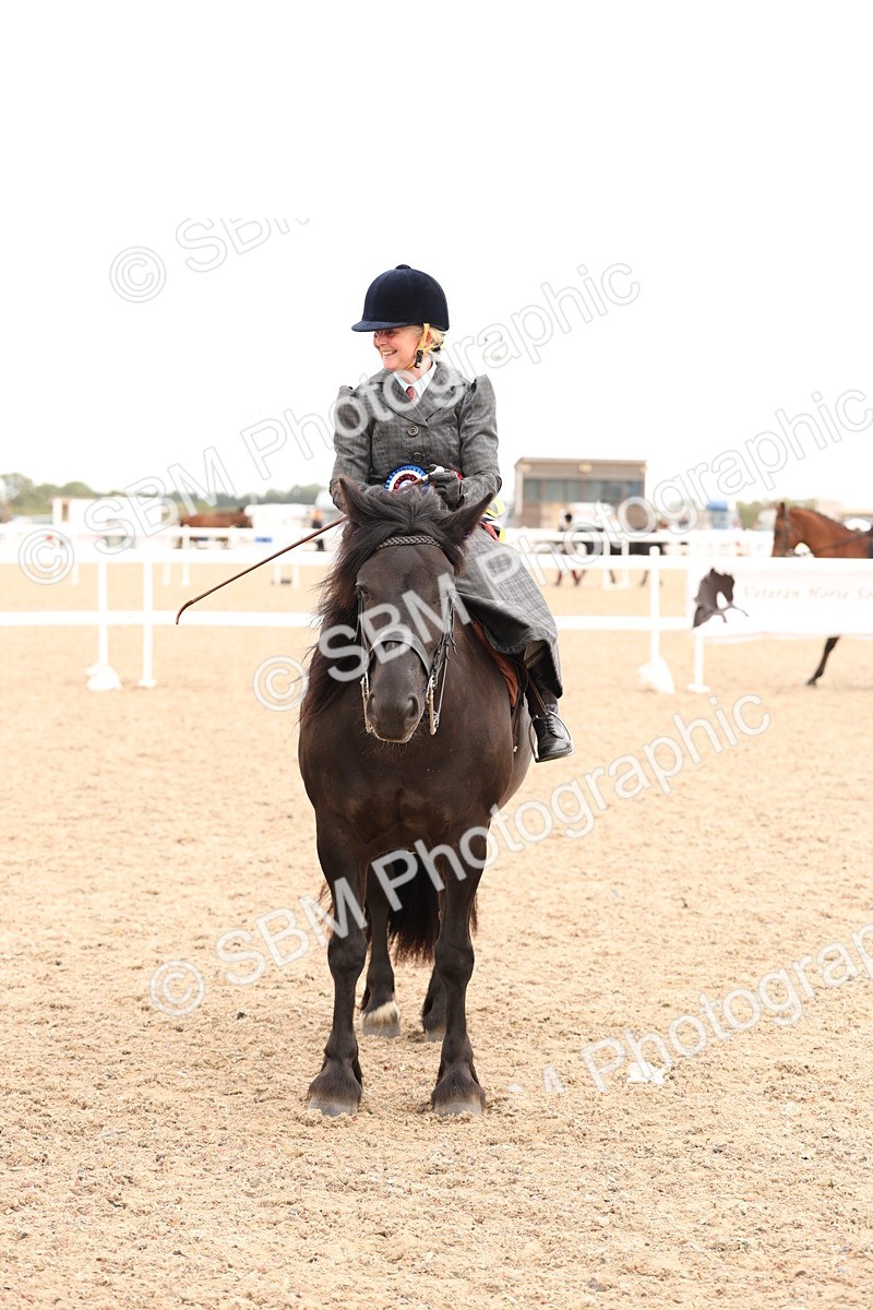 SBM_16447 - Class 211 - Best Side Saddle Horse - Pony