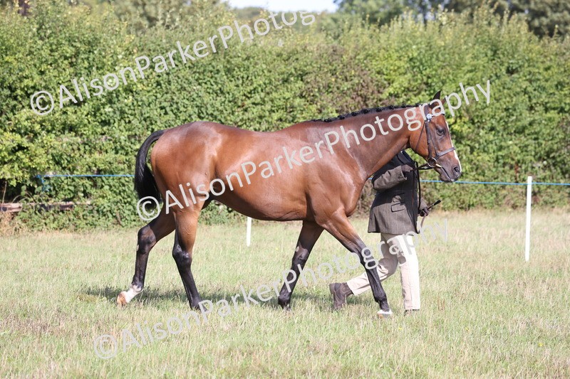 20260906-0648 - Class 22 - Ex Racehorse