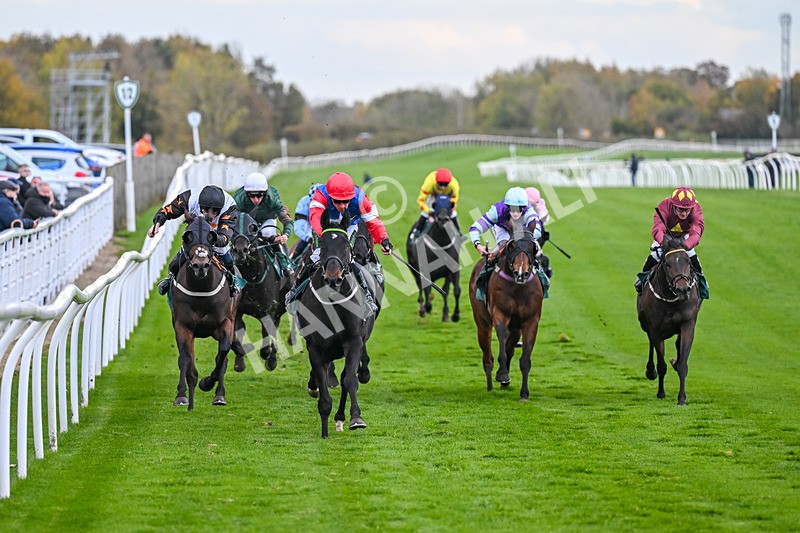 281025-Race 7-Crocodile Power-2084 - Race 7