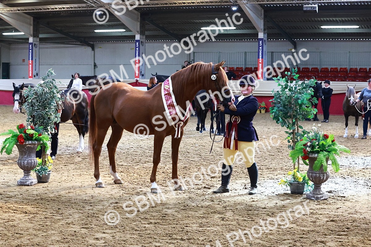 SBM_22434 - Class 902 - Supreme Final - IH Diamond