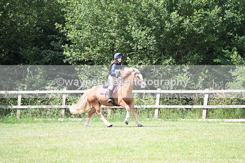 WJ6_6854 - 80cm XC Pairs