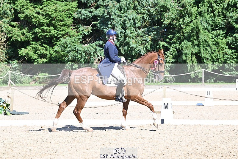 240811-154527-06835 - Inter I Silver