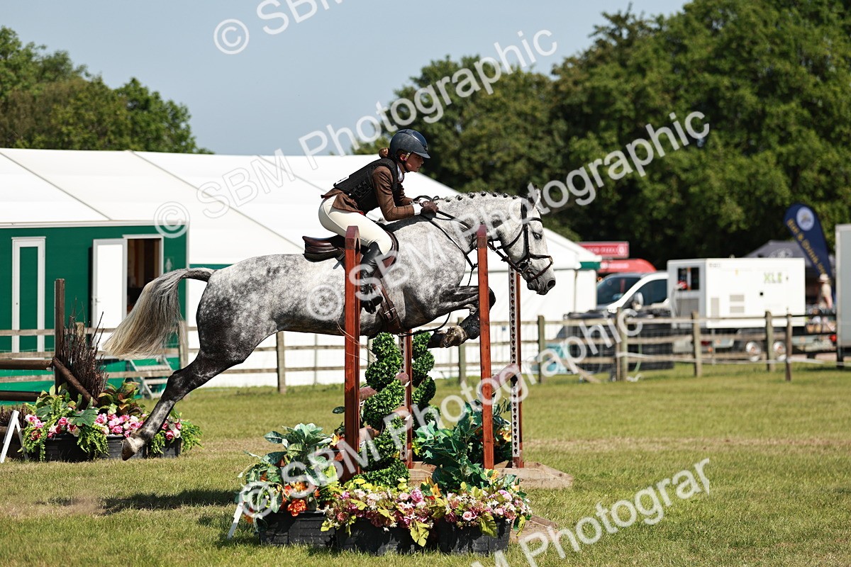 SBM_18379 - Class 112-113 - BSPS LIHS Working Sports Pony