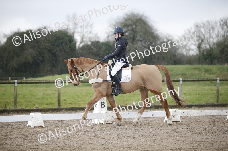 20260127-0407 - Class 17 - BD Novice 3