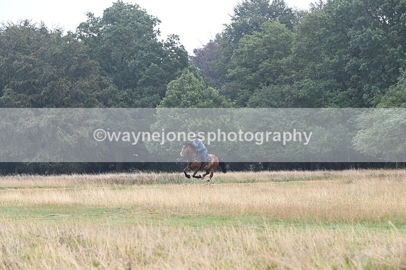 DSC_1016 - Time at Statue 10:58 to 11:53