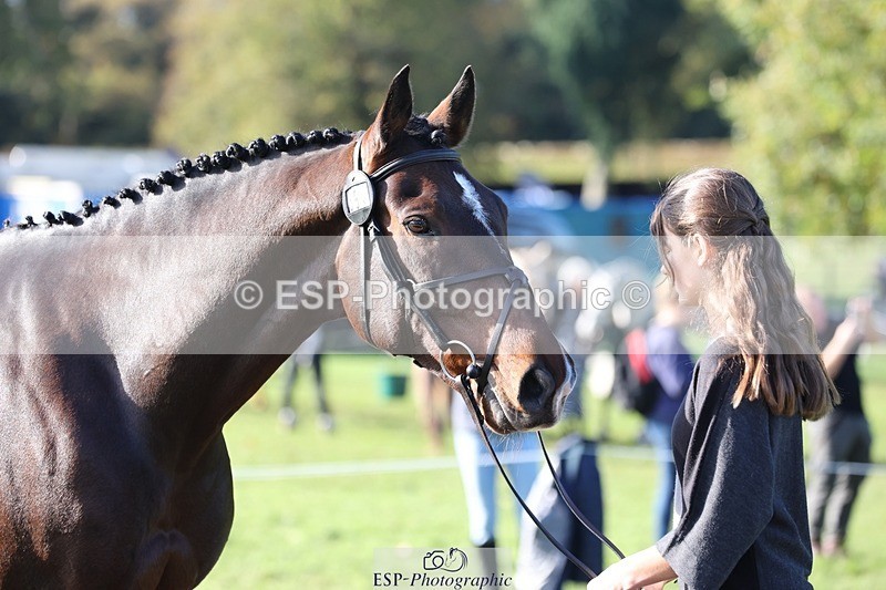 241027-102947-15926 - 559-Anastasia.Terray-KAROUBE