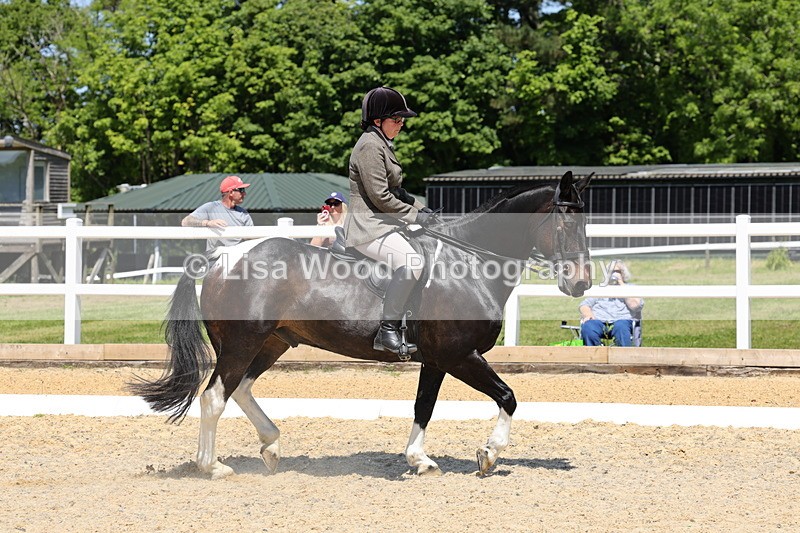 1X9A1685 - Class 11: Ridden Cob